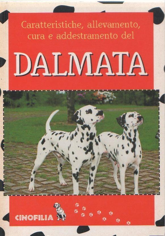 Libreria Biblos di Costa Pierandrea