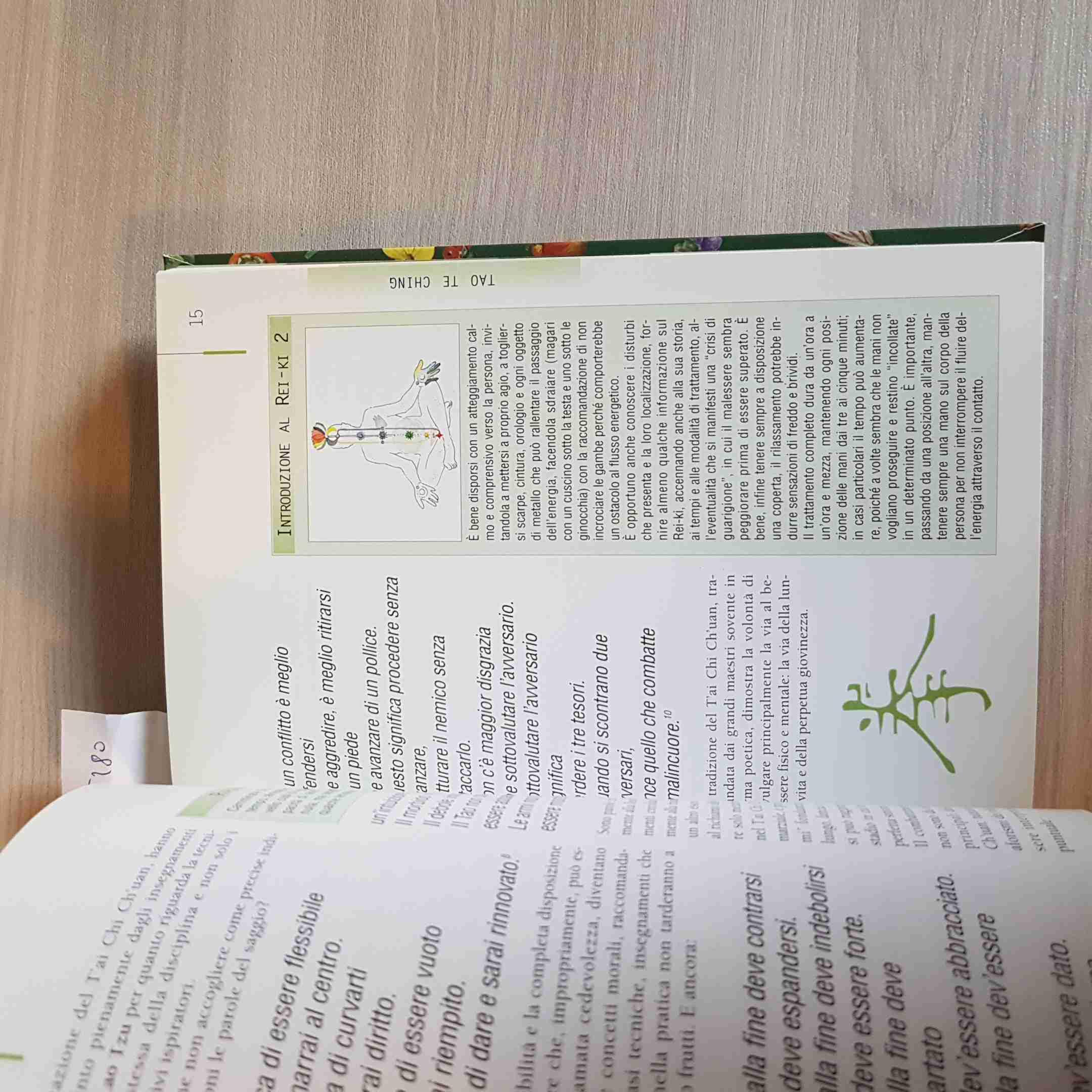 T'ai Chi Ch'uan. La meditazione in movimento