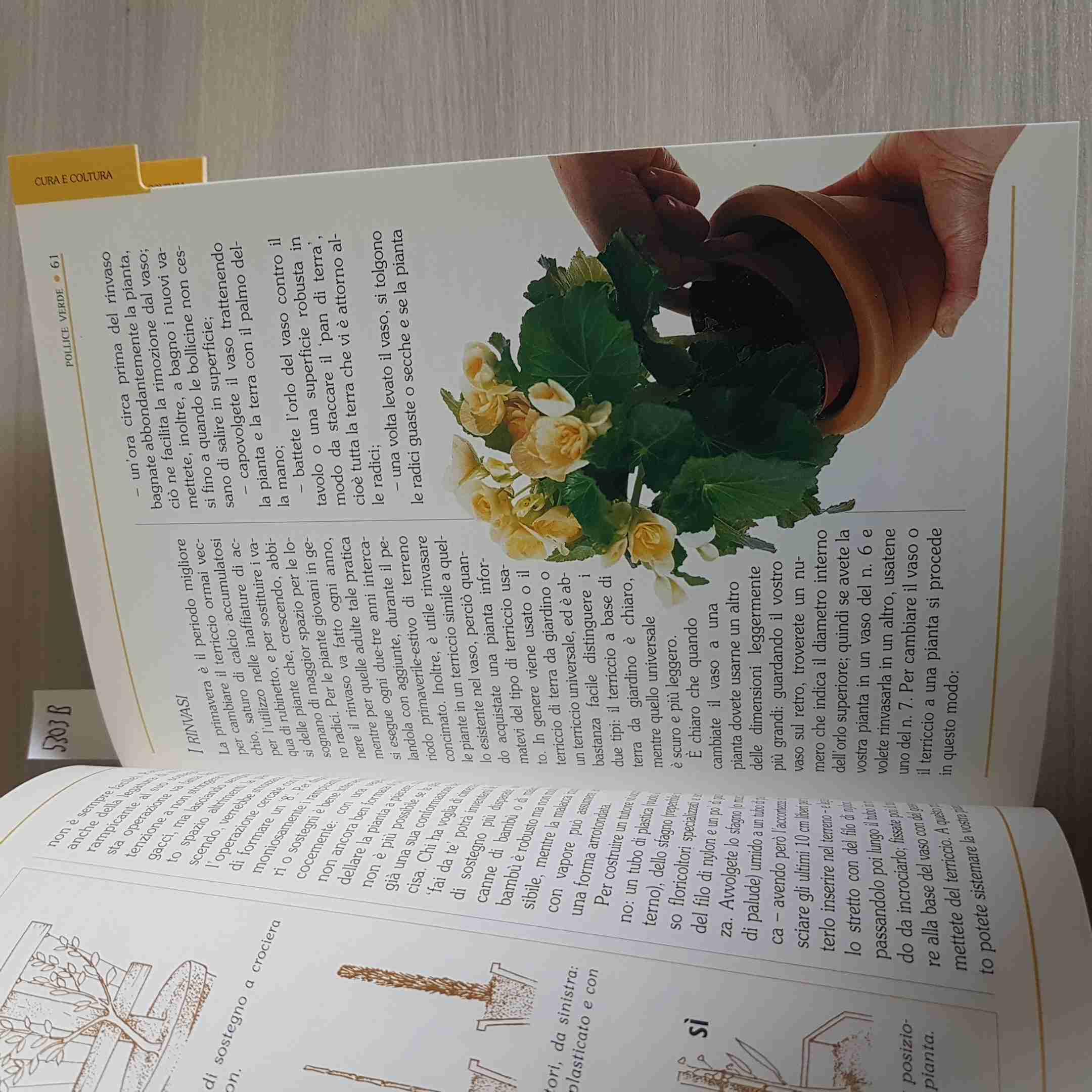 Pollice verde. Il manuale completo del giardinaggio