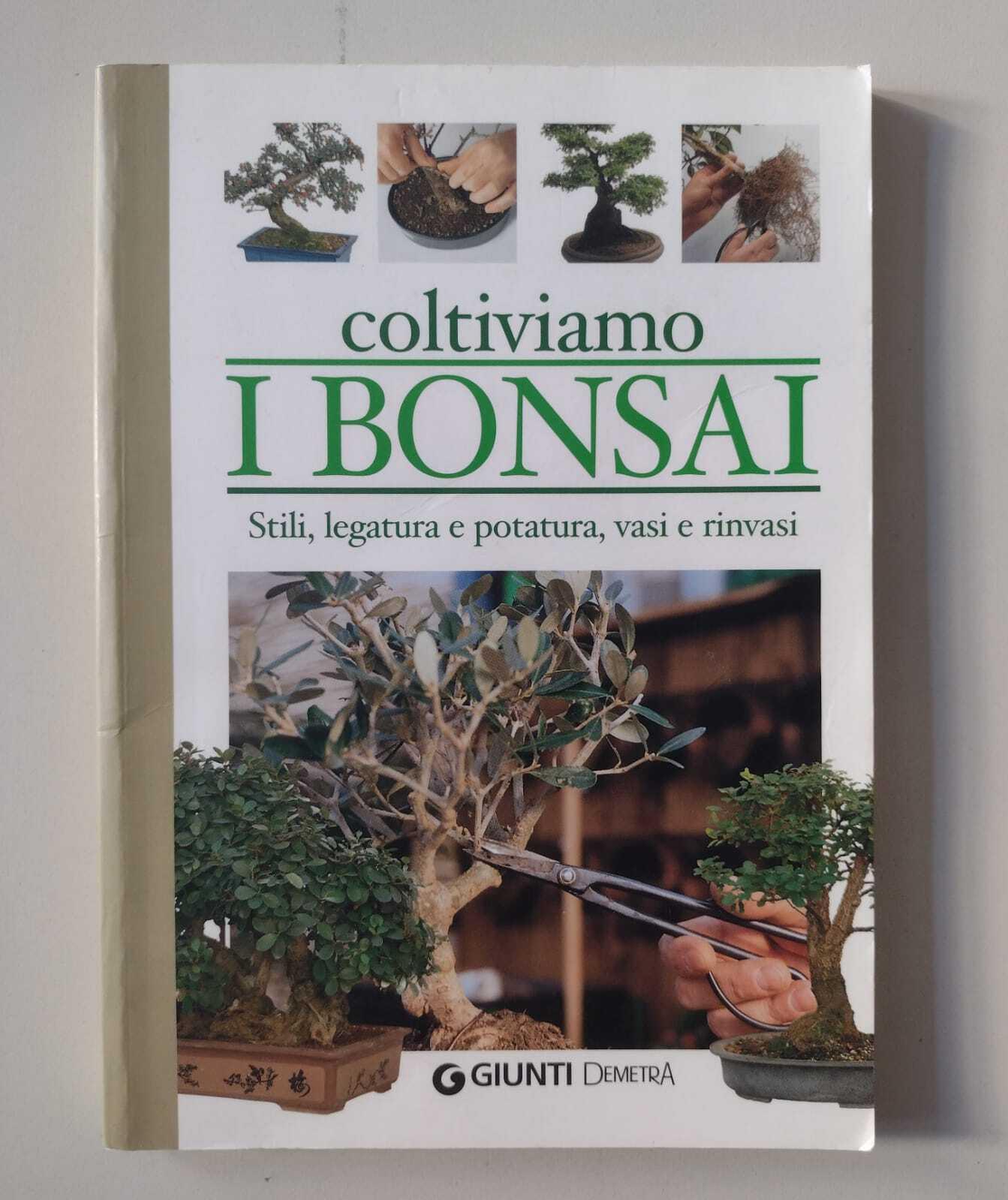 Coltiviamo i bonsai