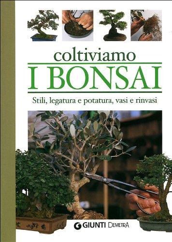 Libreria Biblos di Costa Pierandrea