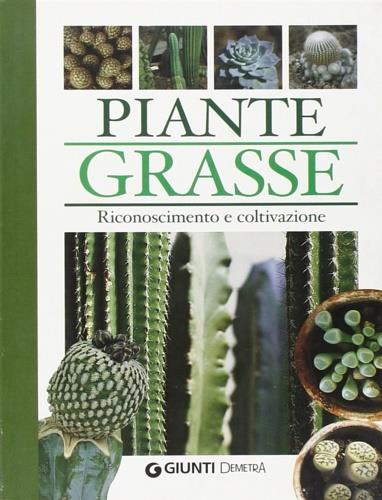 Piante grasse