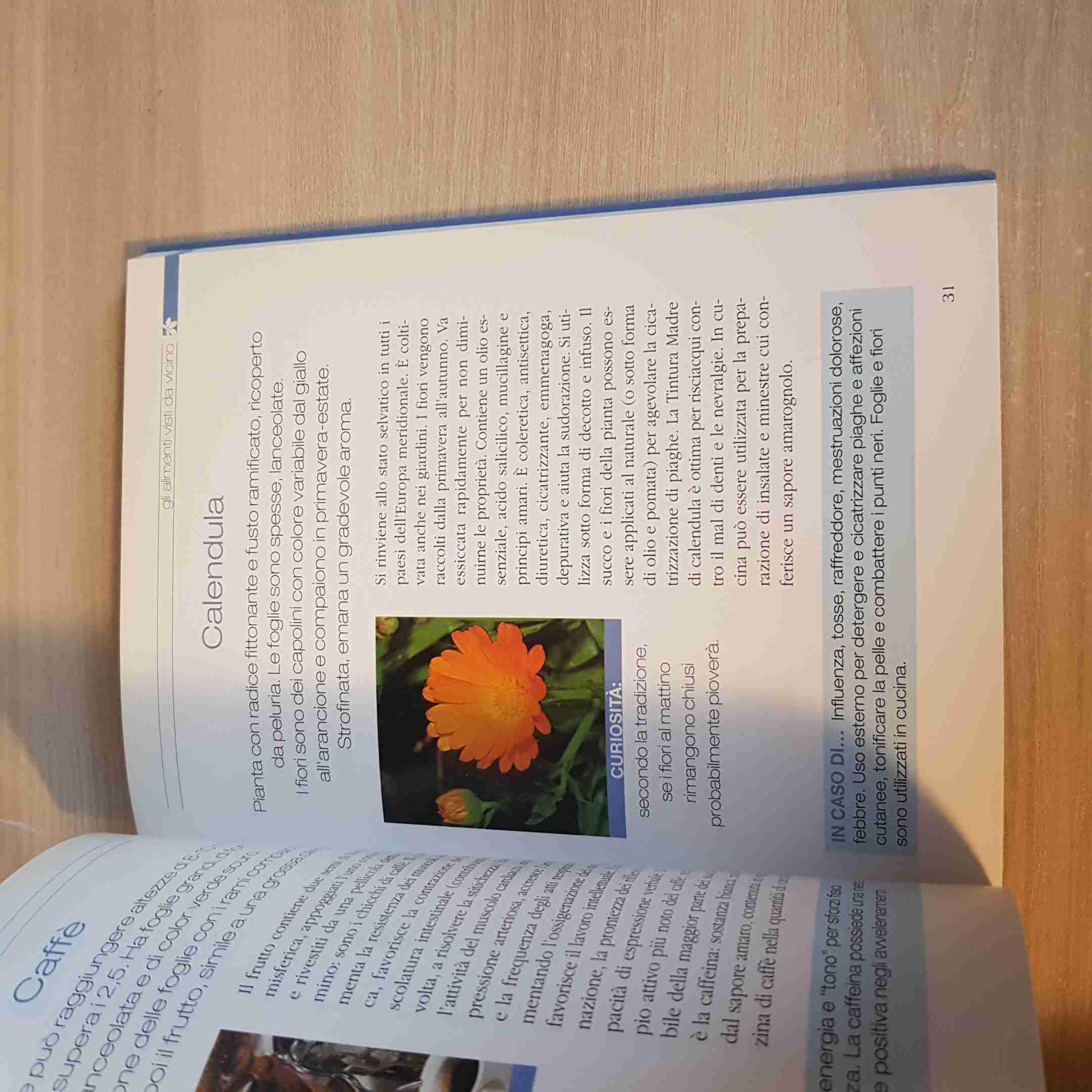 Il cibo cura!