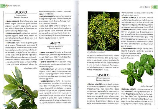 L'orto sul balcone. Ediz. illustrata - 2