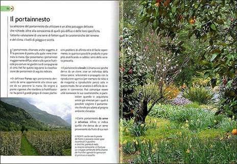 Innesti e potature nel frutteto - Adriano Del Fabro - 3