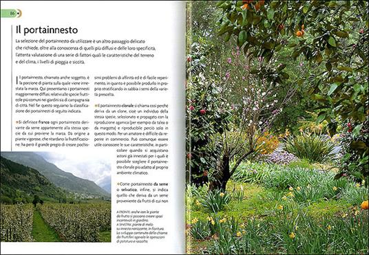 Innesti e potature nel frutteto - Adriano Del Fabro - 3