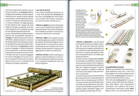 Scuola di giardinaggio. Tecniche, segreti e calendario dei lavori. Ediz. illustrata - Eliana Ferioli - 4