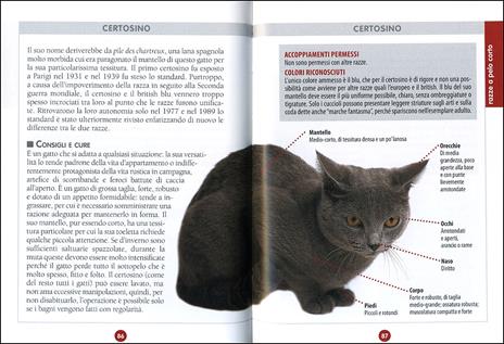 Gatto. Il manuale completo - 2