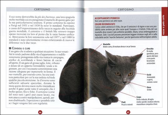 Gatto. Il manuale completo - 3