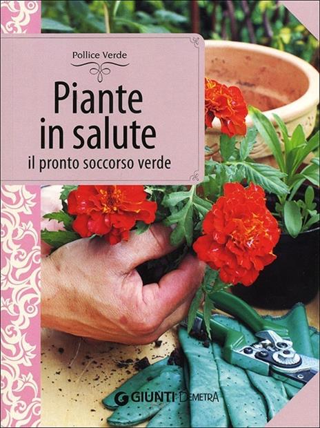 Piante in salute. Il pronto soccorso verde - Lorena Lombroso,Simona Pareschi - copertina