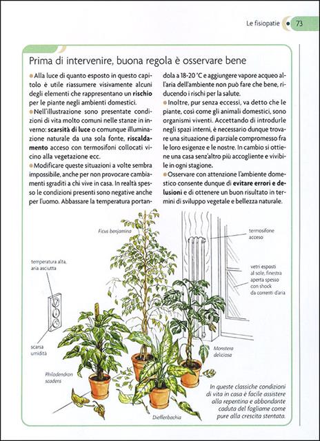 Piante in salute. Il pronto soccorso verde - Lorena Lombroso,Simona Pareschi - 3