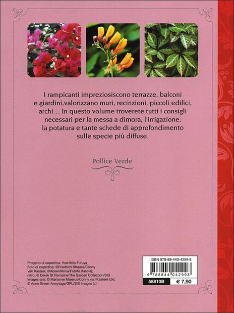 Rampicanti. Cure colturali, generi e specie - Margherita Lombardi - 4
