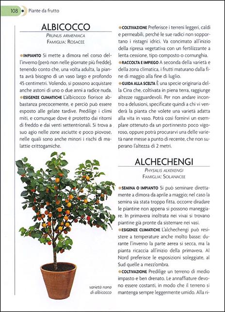 L'orto sul balcone. Organizzazione e coltivazione - 2