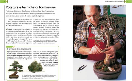 Bonsai. Stili, legature e potature - 3