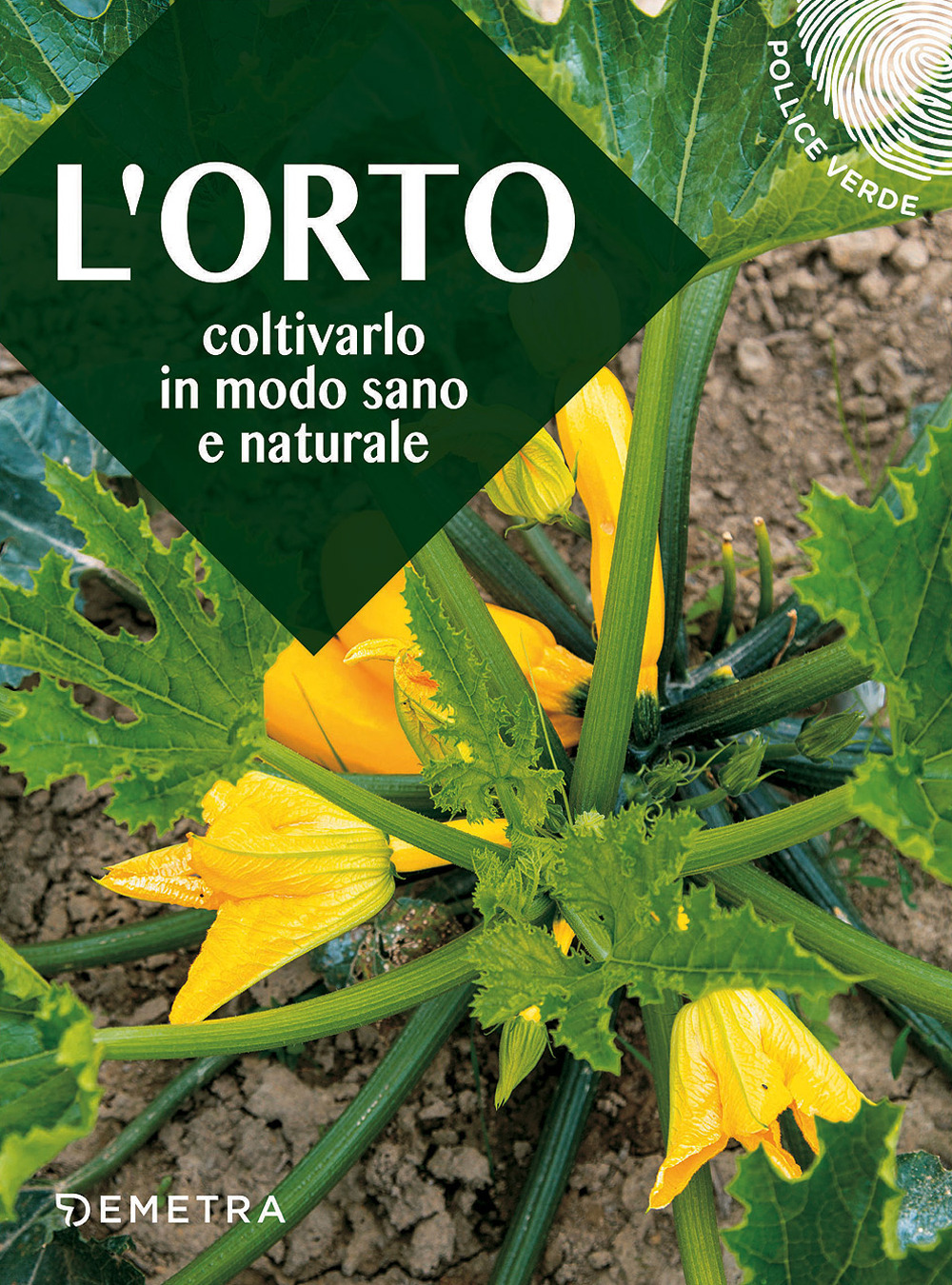 Libreria Volume Secondo