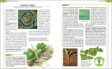 L'orto. Coltivarlo in modo sano e naturale - 3