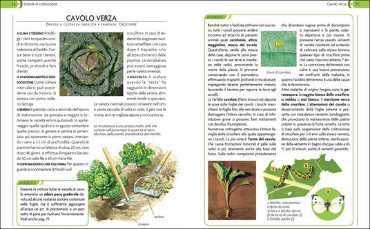 L'orto. Coltivarlo in modo sano e naturale - 3