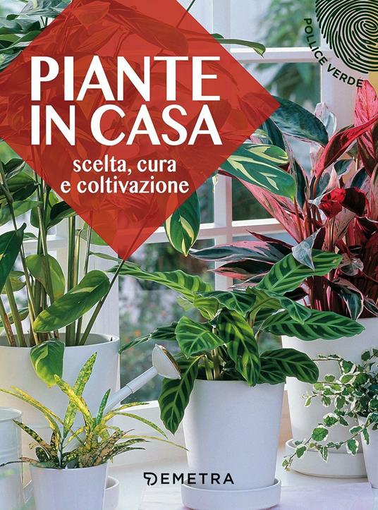 Piante in casa. Scelta, cura e coltivazione - copertina