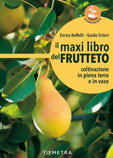 Il maxi libro del frutteto. Coltivazione in piena terra e in vaso - Enrica Boffelli,Guido Sirtori - copertina