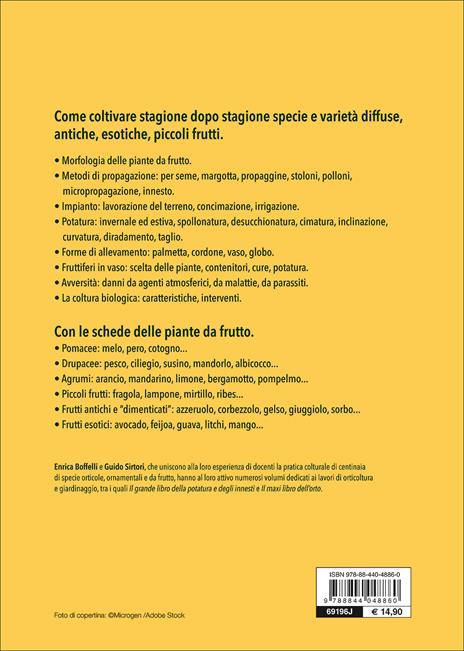 Il maxi libro del frutteto. Coltivazione in piena terra e in vaso - Enrica Boffelli,Guido Sirtori - 2