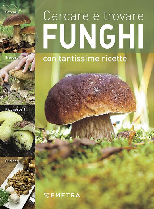 Cercare e trovare funghi. Cercarli, trovarli, riconoscerli, cucinarli - copertina