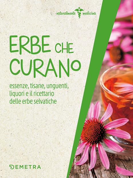 Erbe che curano. Essenze, tisane, unguenti, liquori e il ricettario delle erbe selvatiche - copertina