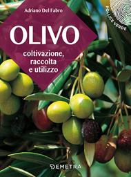 L' olivo. Coltivazione, raccolta e utilizzo