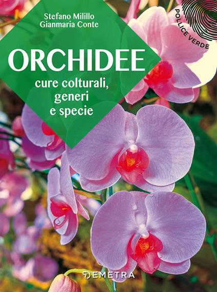 Orchidee. Cure colturali, generi e specie - Stefano Milillo,Gianmaria Conte - copertina