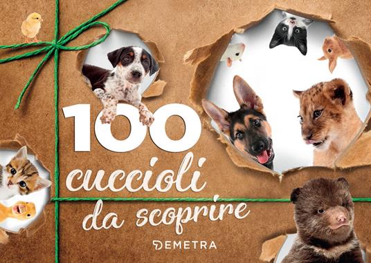 100 cuccioli da scoprire - Emanuela Busà - copertina