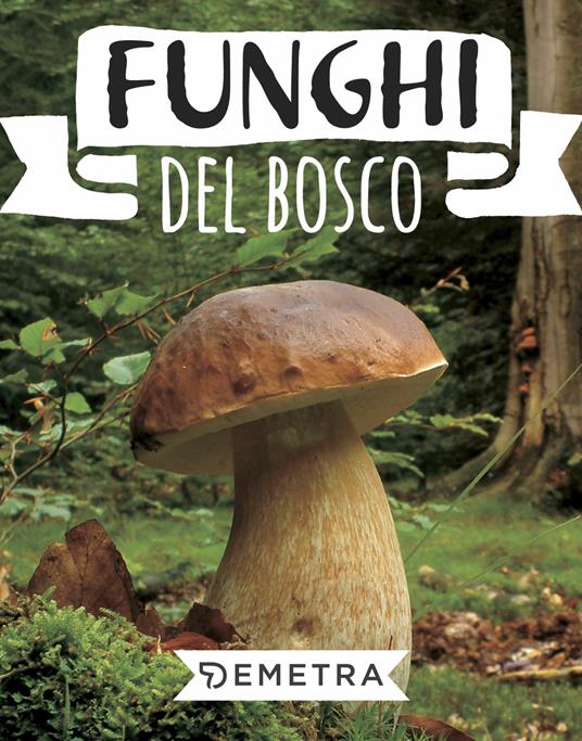 Funghi del bosco - copertina