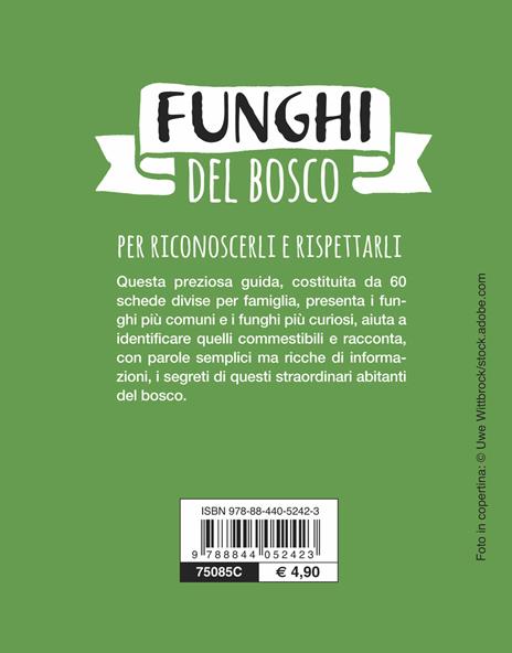 Funghi del bosco - 2