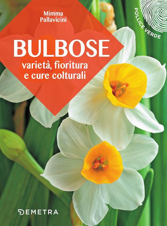 Bulbose. Varietà, fioritura e cure colturali - Mimma Pallavicini - copertina