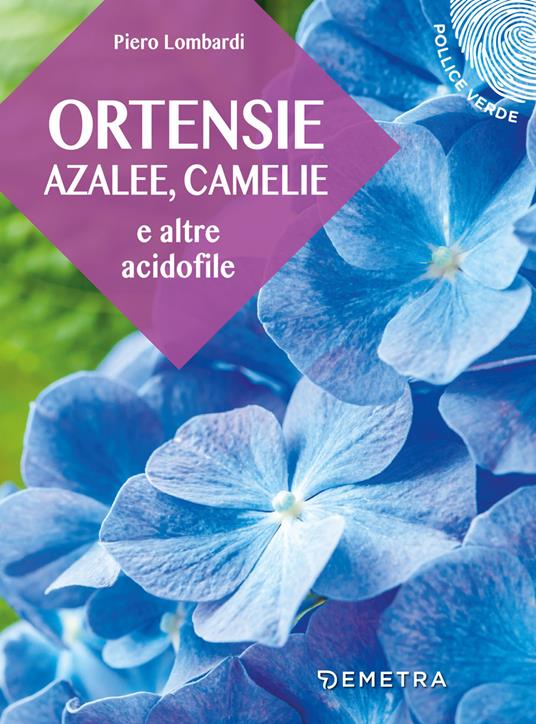 Ortensie, azalee, camelie e altre acidofile - Piero Lombardi - copertina