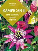 Rampicanti. Cure colturali, generi e specie