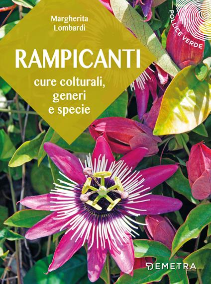 Rampicanti. Cure colturali, generi e specie - Margherita Lombardi - copertina