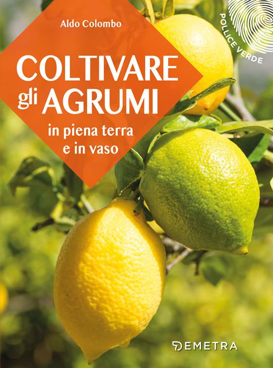 Coltivare gli agrumi in piena terra e in vaso - Aldo Colombo - copertina