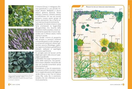 Pollice verde. Il manuale completo del giardinaggio - 4