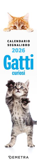 Gatti curiosi. Calendario 2026