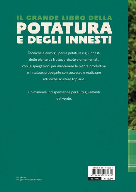 Il grande libro della potatura e degli innesti - Enrica Boffelli,Anna Furlani Pedoja,Guido Sirtori - 7
