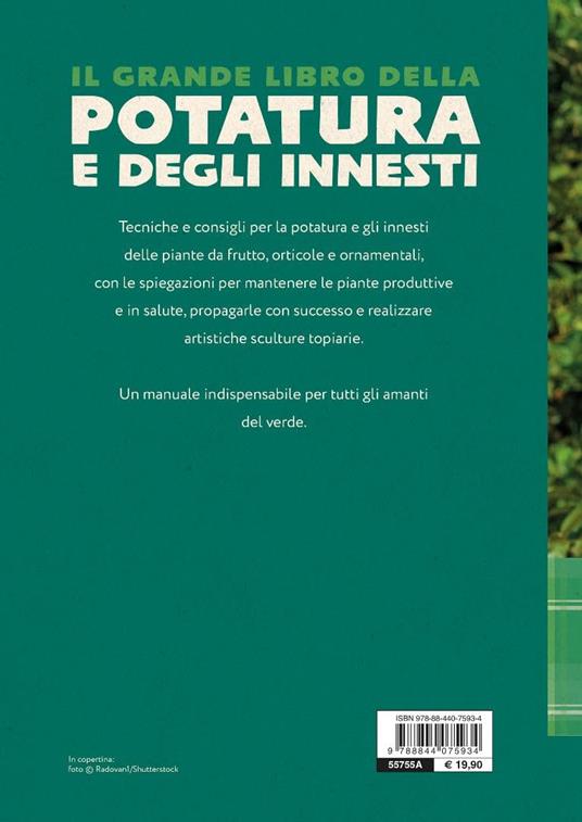 Il grande libro della potatura e degli innesti - Enrica Boffelli,Anna Furlani Pedoja,Guido Sirtori - 7