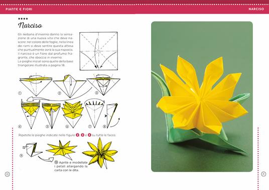 I più bei libri sugli origami (per bambini, 3D e modulari)