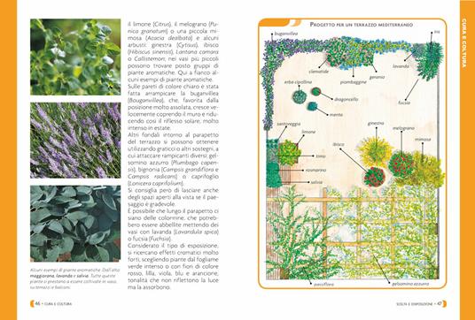 Pollice verde per tutti. Il manuale completo del giardinaggio - 4