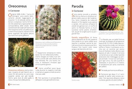 Pollice verde per tutti. Il manuale completo del giardinaggio - 6