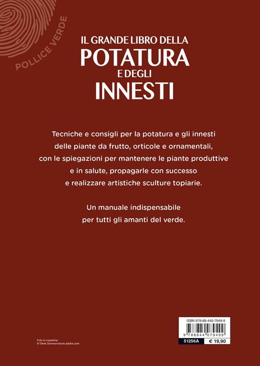 Il grande libro della potatura e degli innesti - Enrica Boffelli,Anna Furlani Pedoja,Guido Sirtori - 2