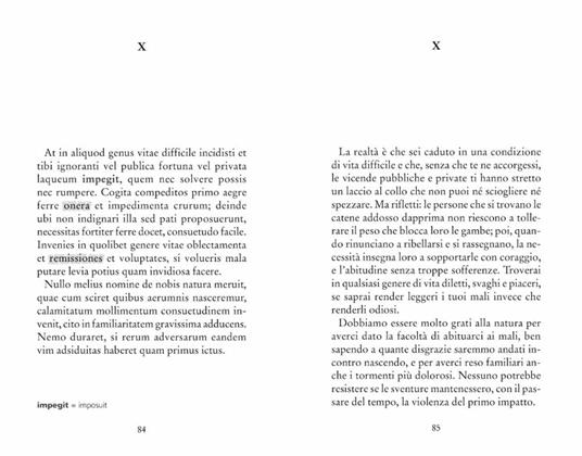 De tranquillitate animi. La tranquillità dell'anima. Testo latino a fronte - Lucio Anneo Seneca - 5