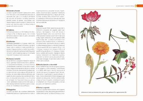 Orto, frutteto, giardino. Il manuale completo - 4