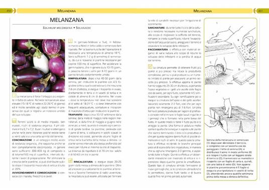 Orto, frutteto, giardino. Il manuale completo - 6