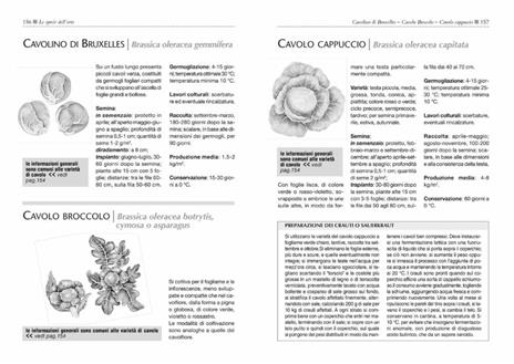Il maxi libro dell'orto. Come progettare, organizzare e curare il tuo orto - Enrica Boffelli,Guido Sirtori - 5