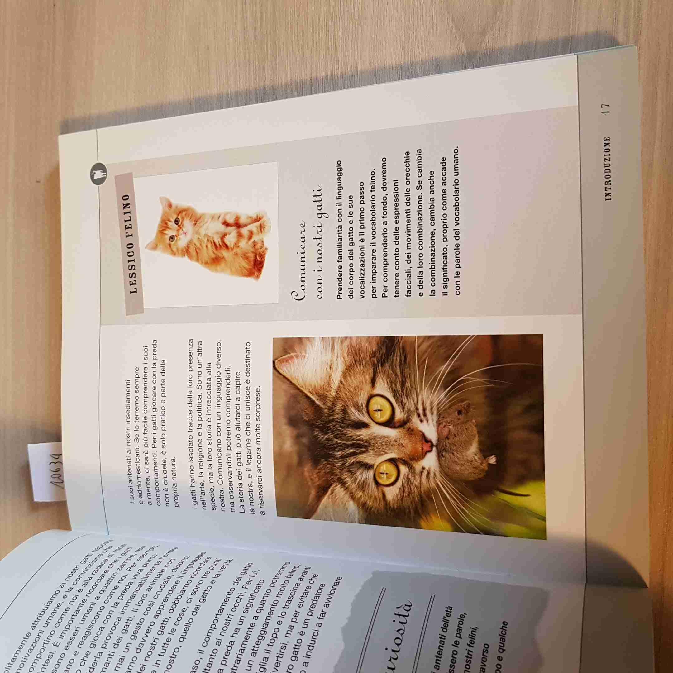 Quello che il tuo gatto non dice. Come interpretare il suo linguaggio segreto