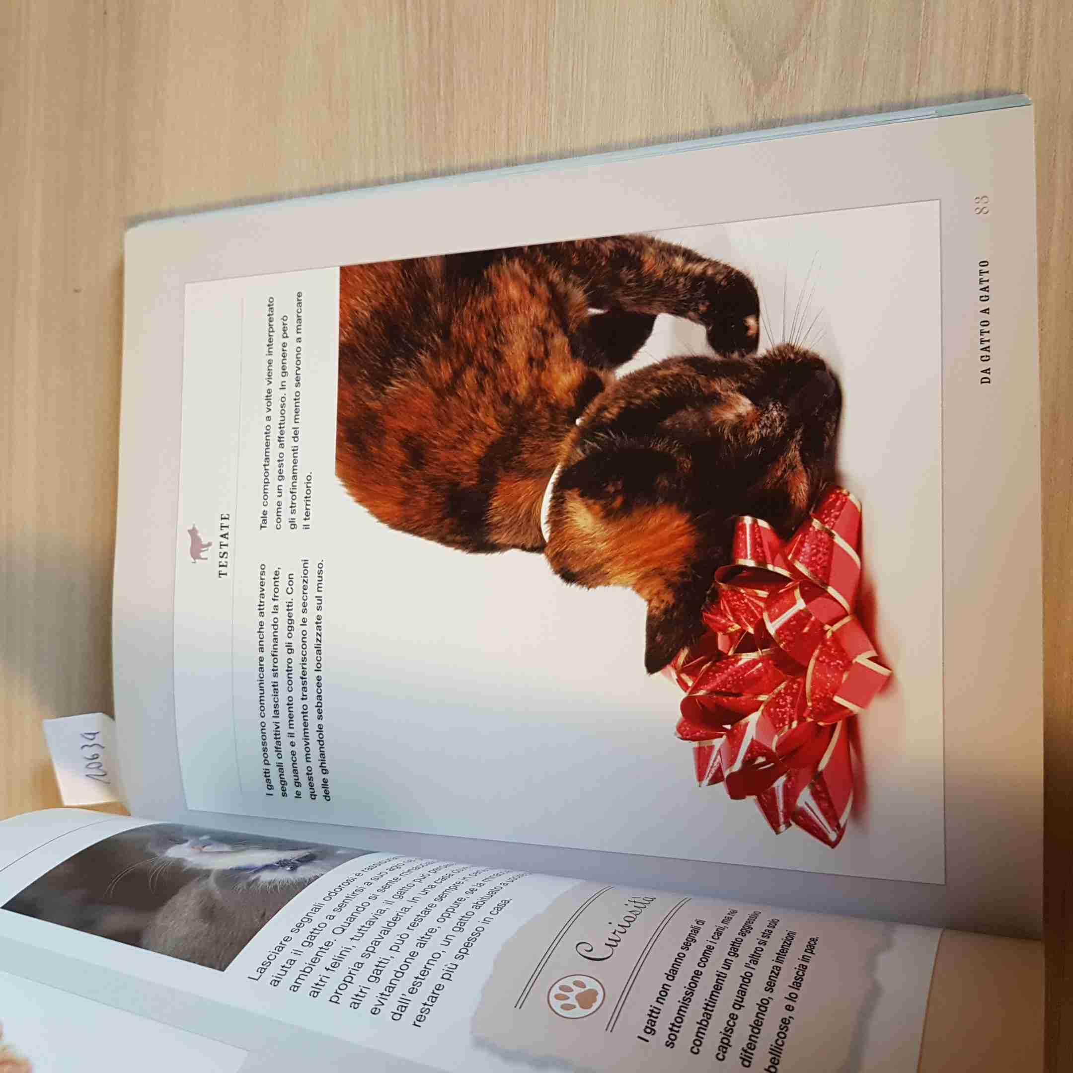 Quello che il tuo gatto non dice. Come interpretare il suo linguaggio segreto